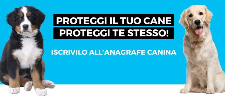 SAN NICANDRO, LOTTA AL RANDAGISMO E OBBLIGO AL MICROCHIP