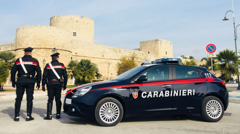 INCESSANTE AZIONE DI CONTROLLO DEL TERRITORIO DEI CARABINIERI