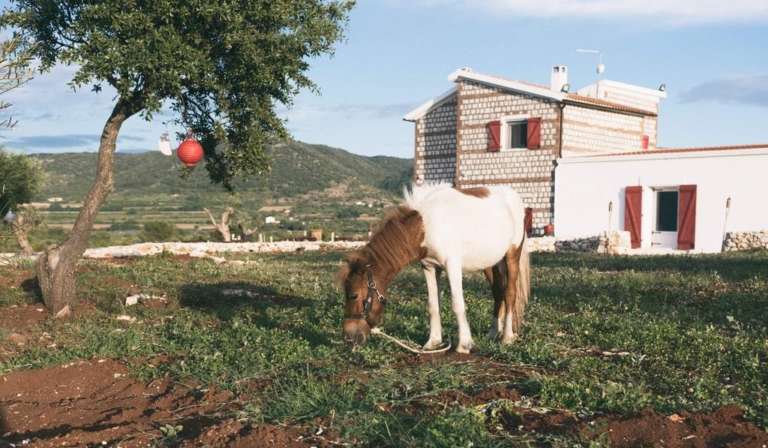 L’IMPORTANZA DELLE MASSERIE DIDATTICHE IN PUGLIA