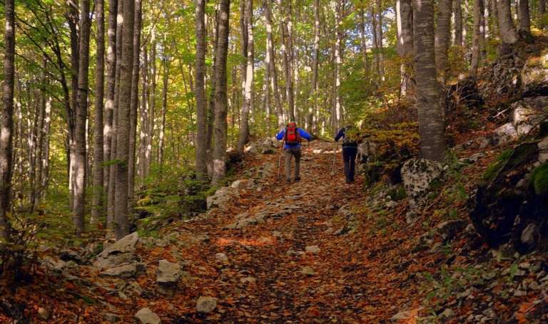 IL PRIMO NORDIC WALKING PARK PUGLIESE E’ SUL GARGANO