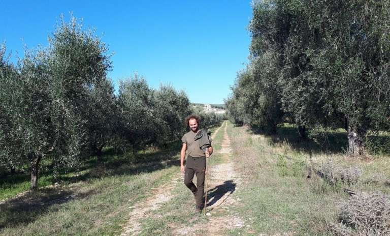 CAMMINATA TRA GLI OLIVI