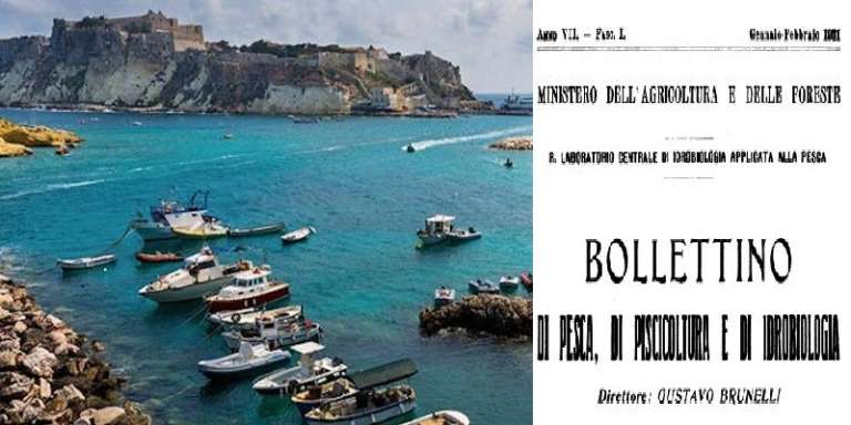 ISOLE TREMITI – BOLLETTINO DELLA PESCA DEL 1931