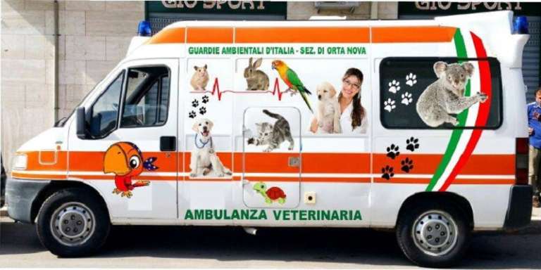 IN FUNZIONE LA PRIMA AMBULANZA VETERINARIA DELLA PROVINCIA DI FOGGIA