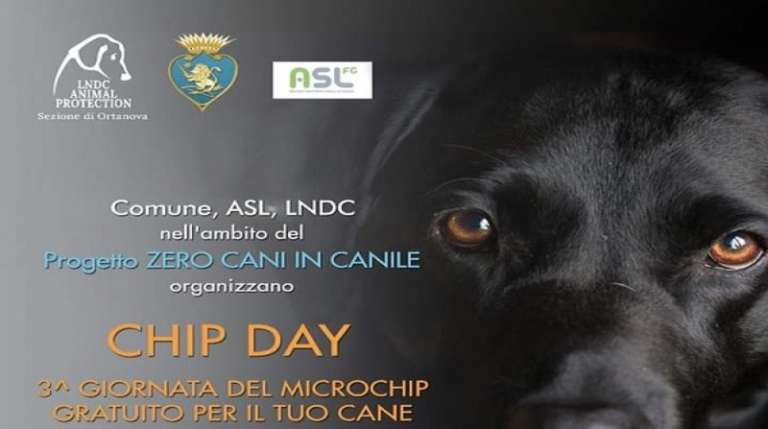 A VIESTE MICROCHIP PER I CANI PRIVATI