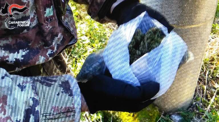 ARRESTATO ESPONENTE ORGANIZZAZIONE CRIMINALE ITALO/ALBANESE PER TRAFFICO STUPEFACENTI