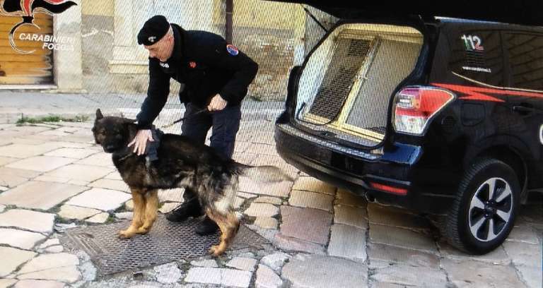 CON UNITA’ CINOFILE CONTROLLI A TAPPETO, UN ARRESTO E UNA DENUNCIA PER DETENZIONE STUPEFACENTI