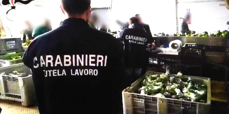 OPERAZIONI ANTICAPORALATO DELLA PROCURA DELLA REPUBBLICA DI FOGGIA E DEI CARABINIERI