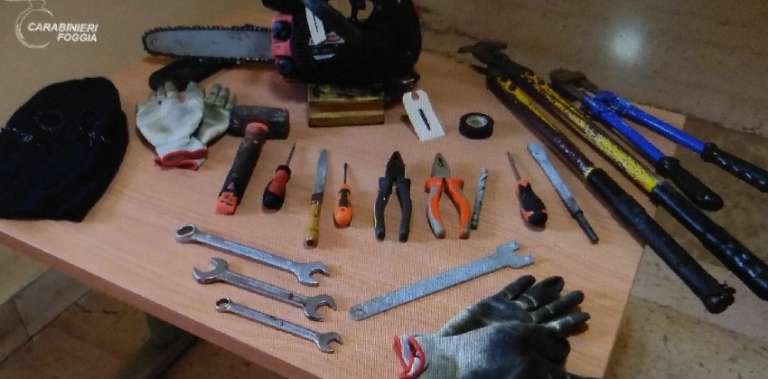 INVESTONO UN CITTADINO PER FUGGIRE DOPO UN FURTO, DUE ARRESTI