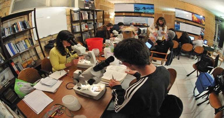 BORSA DI STUDIO “MARETREMITI”