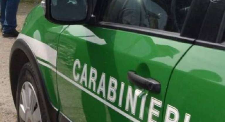 CARABINIERI FORESTALI DI SAN NICANDRO, SEQUESTRO DI AREA PER RIFIUTI PERICOLOSI ABBANDONATI
