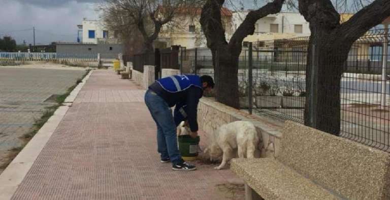 NELLE STRADE VUOTE DI SAN NICANDRO C’E CHI ACCUDISCE I CANI