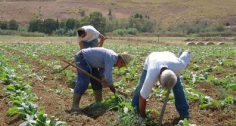 IN PUBBLICAZIONE IL BANDO PER I GIOVANI AGRICOLTORI