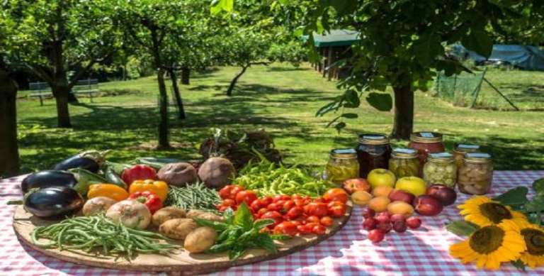 TURISMO: COLDIRETTI PUGLIA, 900 AGRITURISMI PRONTI PER PONTI PRIMAVERA