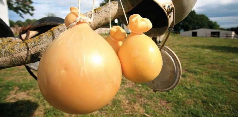 LA GASTRONOMIA LOCALE DEI COMUNI DEL PARCO DEL GARGANO