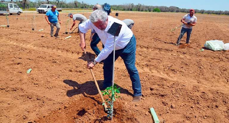 REGIONE PUGLIA, CONSENTITE L’ATTIVITA’ AMATORIALE AGRICOLA E L’ALLEVAMENTO