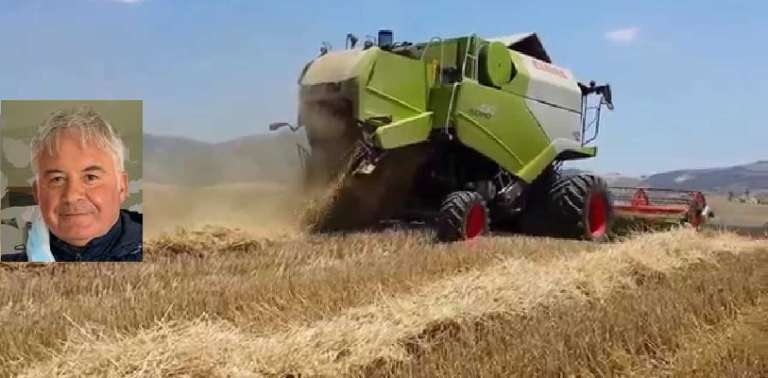 FOGGIA: AUMENTO SPECULATIVO DEL PREZZO DEL GRANO, L’USMP CON VOCALE SI TIRA FUORI