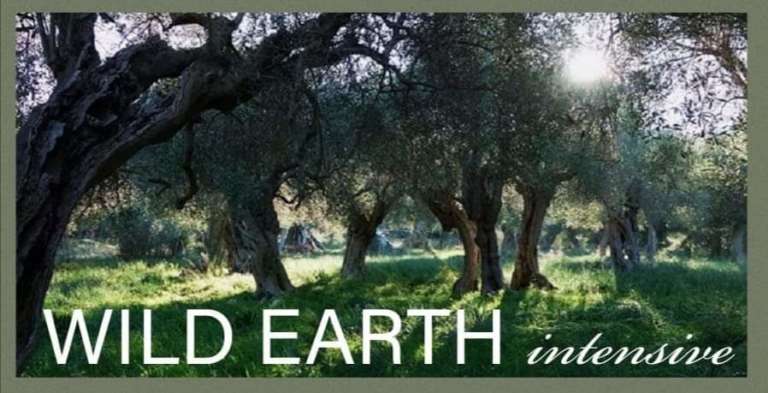 “WILD EARTH” CON IL GIARDINO DELLA GIOIA DI TORRE MILETO