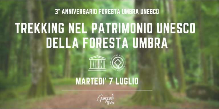 TRE ANNI UNESCO, TREKKING NELLA FAGGETA VETUSTA FORESTA UMBRA