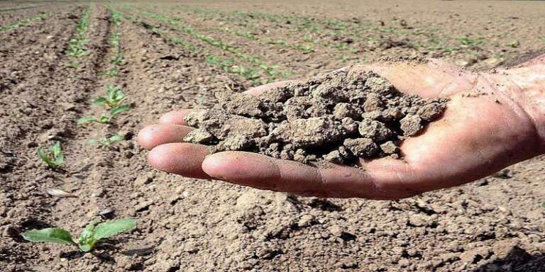 SICCITÀ: COLDIRETTI PUGLIA, CALA ACQUA IN BACINI PUGLIESI E SOS COLTIVAZIONI