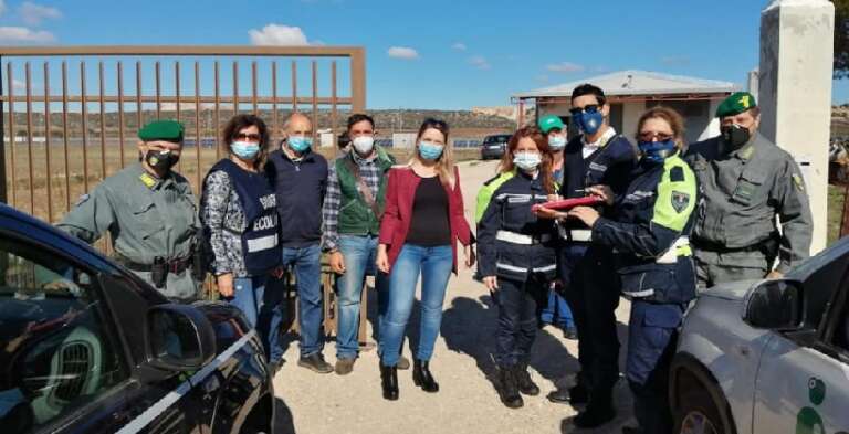 APRICENA: PARTITE LE STERILIZZAZIONI DI MASSA E I CONTROLLI DEI CANI SUL TERRITORIO