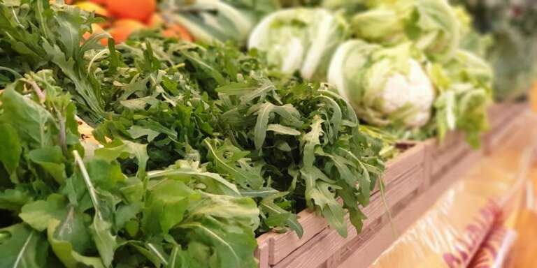 RUCOLA, PREZIOSA ALLEATA DELL’INTESTINO