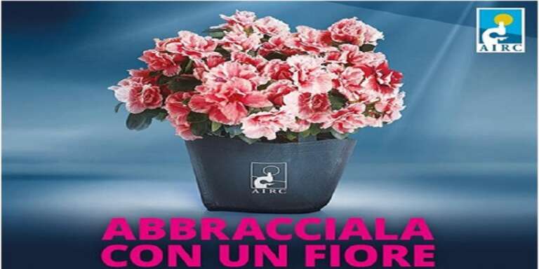 L’AIRC DI SAN NICANDRO DOMANI PER “L’ALZALEA DELLA RICERCA”