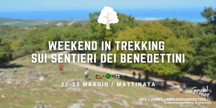 GARGANO NEBEDETTINI