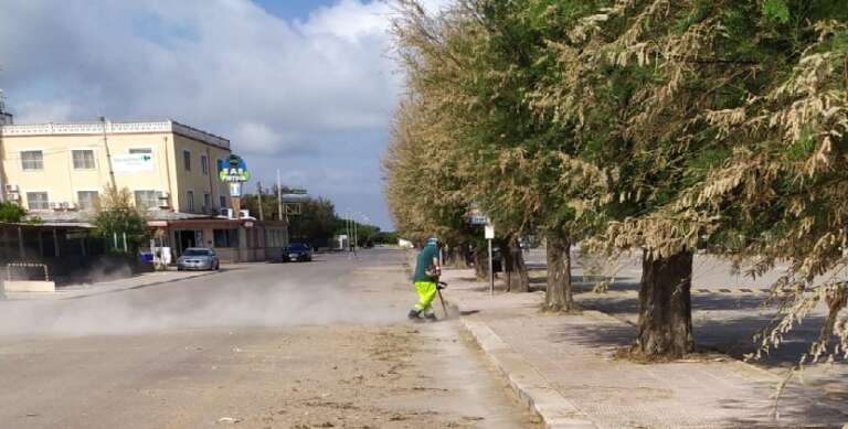 PRIMO INTERVENTO DI PULIZIA E BONIFICA PER TORRE MILETO