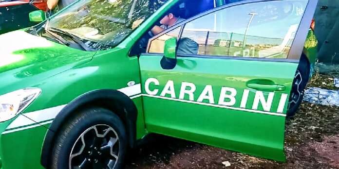 carabinieri-forestali 2021
