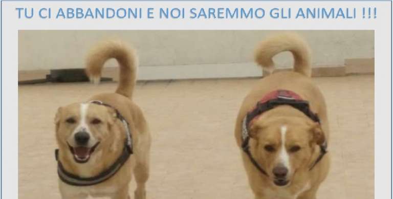 CONTRO L’ABBANDONO DEGLI ANIMALI NEL PERIODO ESTIVO