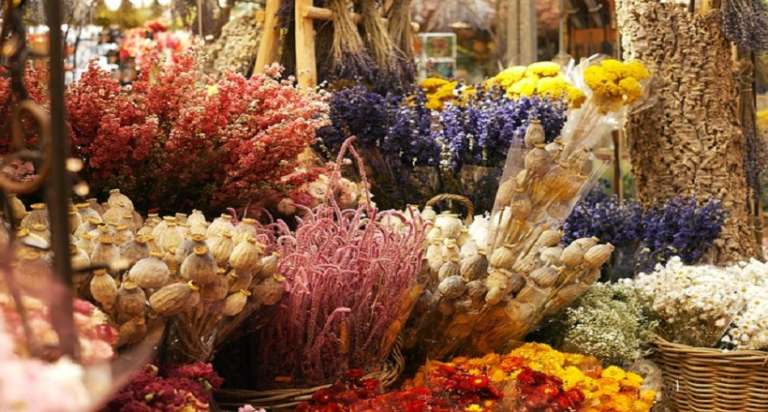 I FIORI SECCHI, SIMBOLO DELL’INVENTIVA SANNICANDRESE
