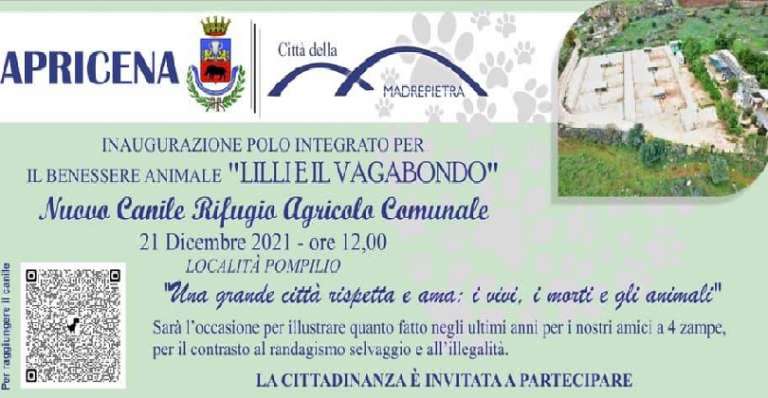 APRICENA, NUOVO CANILE RIFUGIO COMUNALE