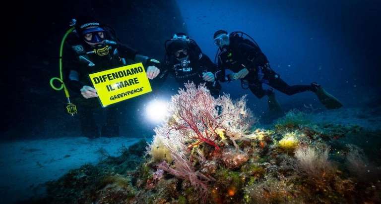 IL PARCO DEL GARGANO ADERISCE AL PROGETTO “MARE CALDO” PER MONITORARE I CAMBIAMENTI CLIMATICI NEI MARI