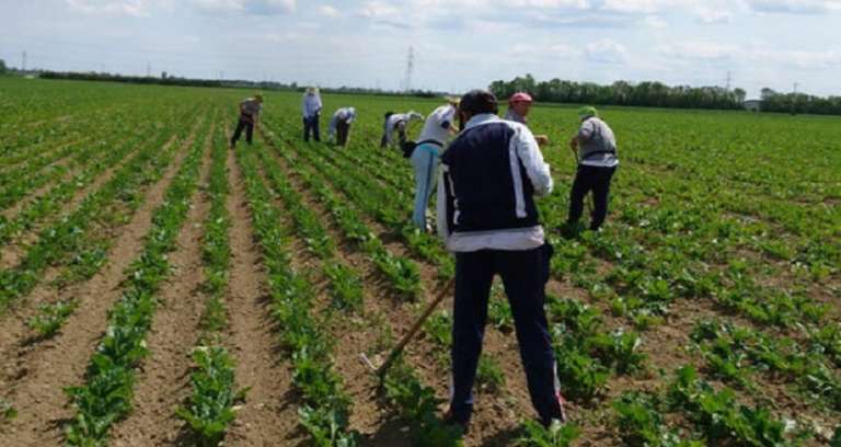 LOTTA AL CAPORALATO E SFRUTTAMENTO IN AGRICOLTURA