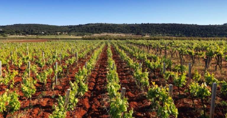 FURTI NELLE CAMPAGNE: LE AZIONI DI PREVENZIONE E CONTRASTO