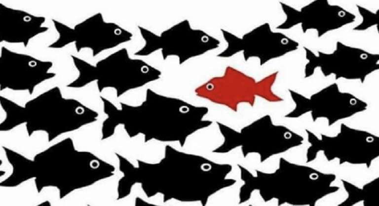 EDITORIALE DELLE DOMENICA. ANDARE CON LA CORRENTE O CONTROCORRENTE?