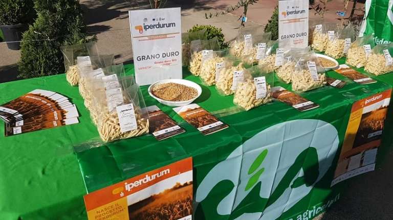 IPERDURUM, IN PUGLIA IL SUPER GRANO E LA PASTA SUPER-PROTEICA 100% PUGLIESE