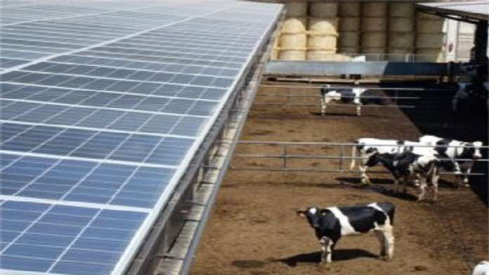 fotovoltaico-su-azienda-agricola