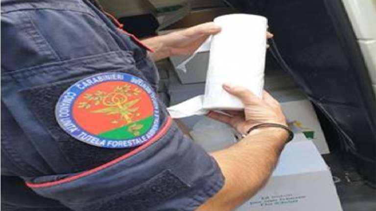 SAN NICANDRO, CONTROLLI DEI CARABINIERI FORESTALI SU UTILIZZO “SHOPPERS”, SANZIONI PER 15 MILA EURO