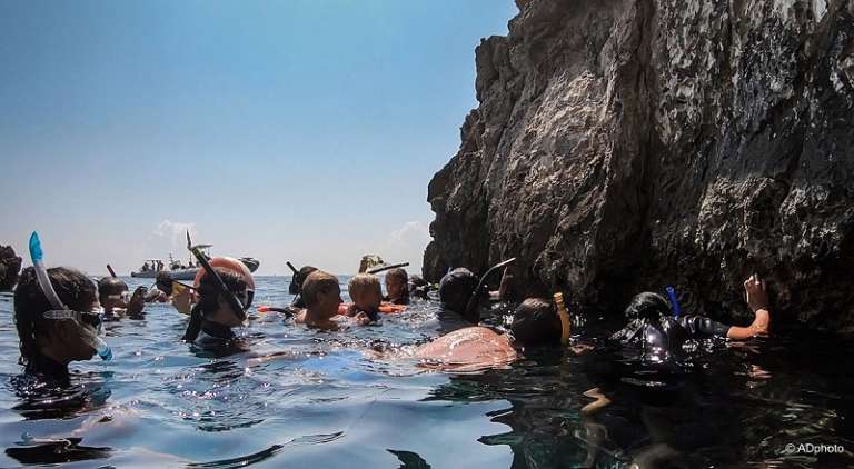POSIDONIA FESTIVAL AMP ISOLE TREMITI, 5 GIORNI DI ATTIVITA’ SULLA BIODIVERSITA’ E STORIA DEL TERRITORIO
