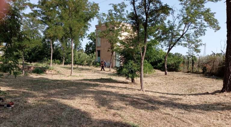 PULIZIA ERBACCE AI PLESSI SCOLASTICI DI PORTONE PERRONE
