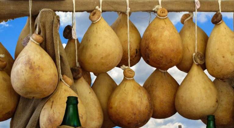 IL CACIOCAVALLO PODOLICO DAUNO NELL’ATLANTE DEI PRODOTTI TRADIZIONALI DELLA REGIONE PUGLIA