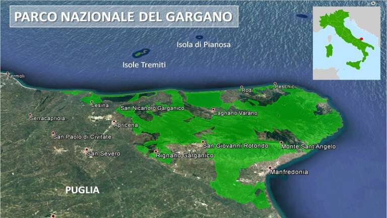 I BENI AMBIENTALI E NATURALISTICI NELL’AREA DEL PARCO NAZIONALE DEL GARGANO