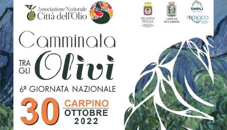 CAMMINATA TRA GLI OLIVI – V I ^ EDIZIONE