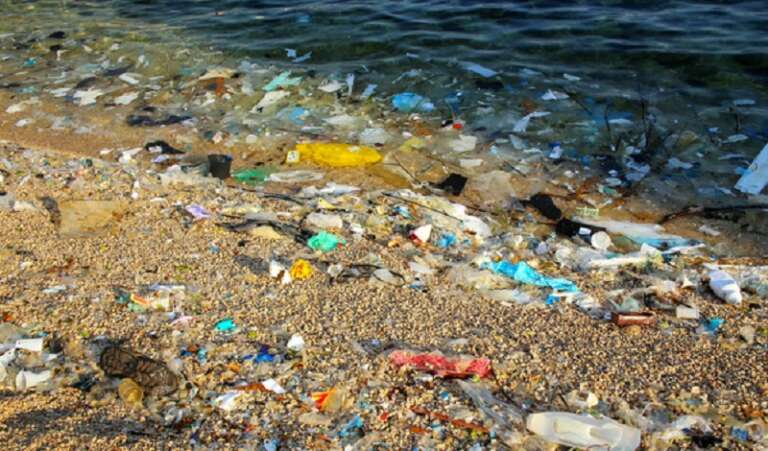 MICROPLASTICHE, DAL MARE ALLE NOSTRE TAVOLE