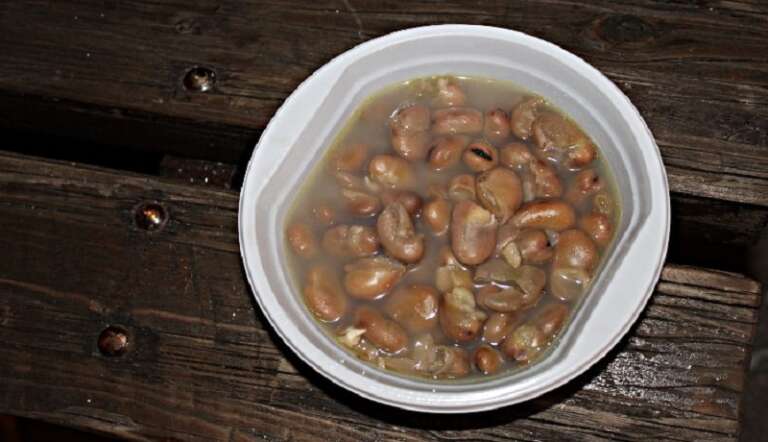 NATALE 2022 A SAN NICANDRO GARGANICO: GLI EVENTI DI OGGI