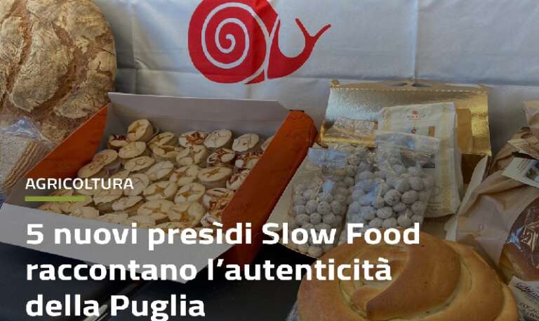 5 NUOVI PRESIDI SLOW FOOD IN PUGLIA, C’E’ ANCHE IL PANE DI MONTE SANT’ANGELO