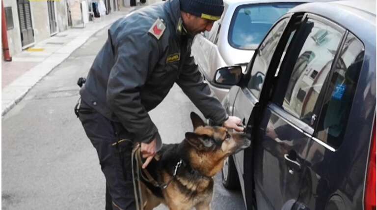 FINANZA, SEQUESTRATI OLTRE 3 KG. DI SOSTANZE STUPEFACENTI E 230.000 PRODOTTI PERICOLOSI O CONTRAFFATTI