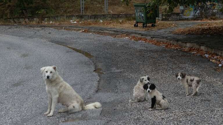 CONTRASTO AL RADAGISMO, PROSEGUONO I LAVORI DELLA TASK FORCE PROMOSSA DAL PARCO