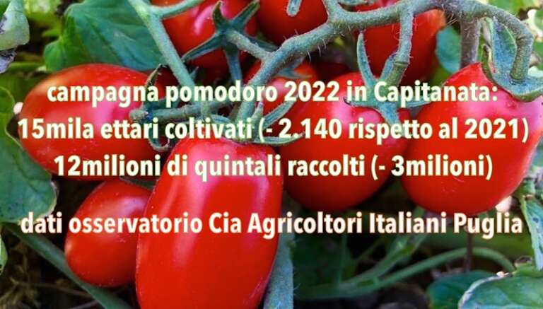 POMODORO, CIA CAPITANATA: “BENE LA DOP, ORA INTESA SUL PREZZO”